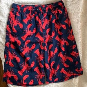 Boys bathing suit/swim shorts.
